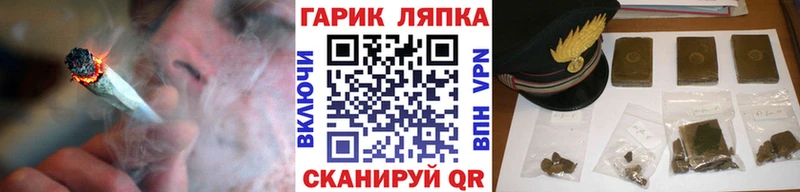магазин продажи   Костерёво  ГАШ Premium 