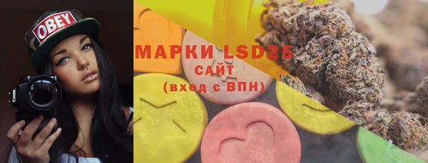 дживик Баксан