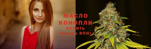 ГАЛЛЮЦИНОГЕННЫЕ ГРИБЫ Аркадак