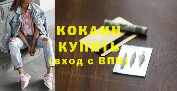 дживик Баксан