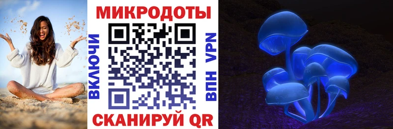 Галлюциногенные грибы Psilocybine cubensis  как найти   Костерёво 